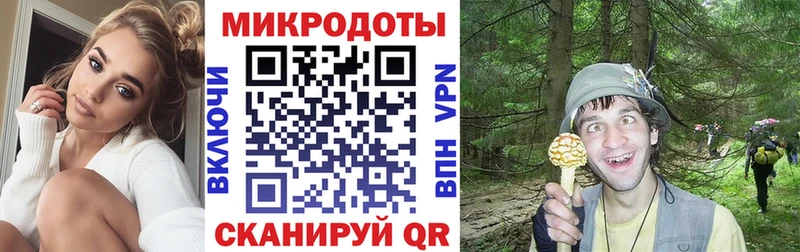 Псилоцибиновые грибы Cubensis Ильский